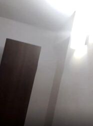Blk 58 Havelock View (Bukit Merah), HDB 4 Rooms #622190171